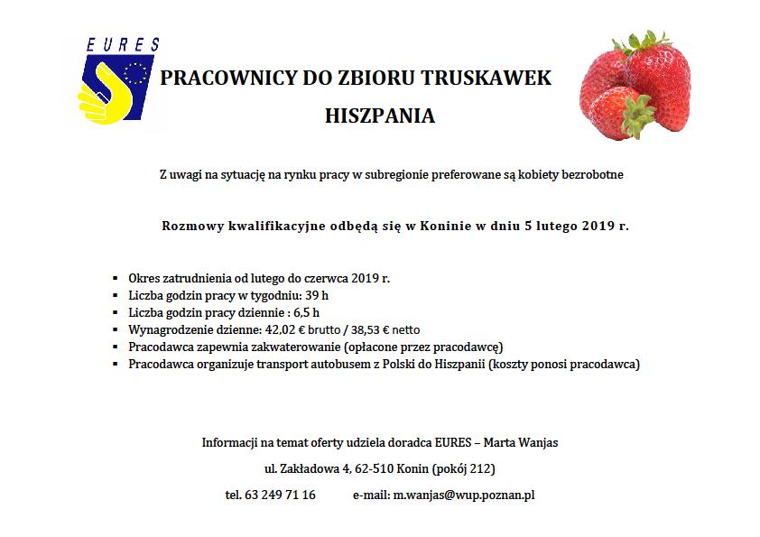 Oferta pracy dla pracownikw do zbioru truskawek (Hiszpania)