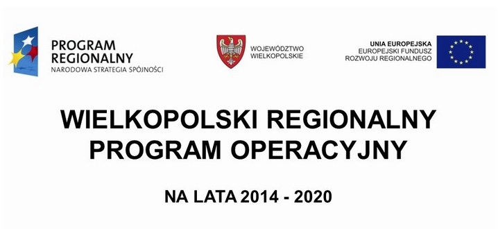 Realizacja Projektu Mistrzowie kompetencji  w Osieczy i Sawsku oraz Grabienicach i Rzgowie