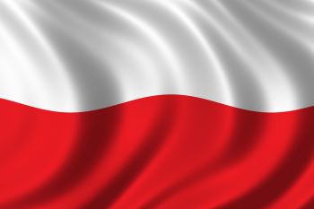 Informacja o XII Sesji Rady Gminy Rzgw (nadzwyczajnej)