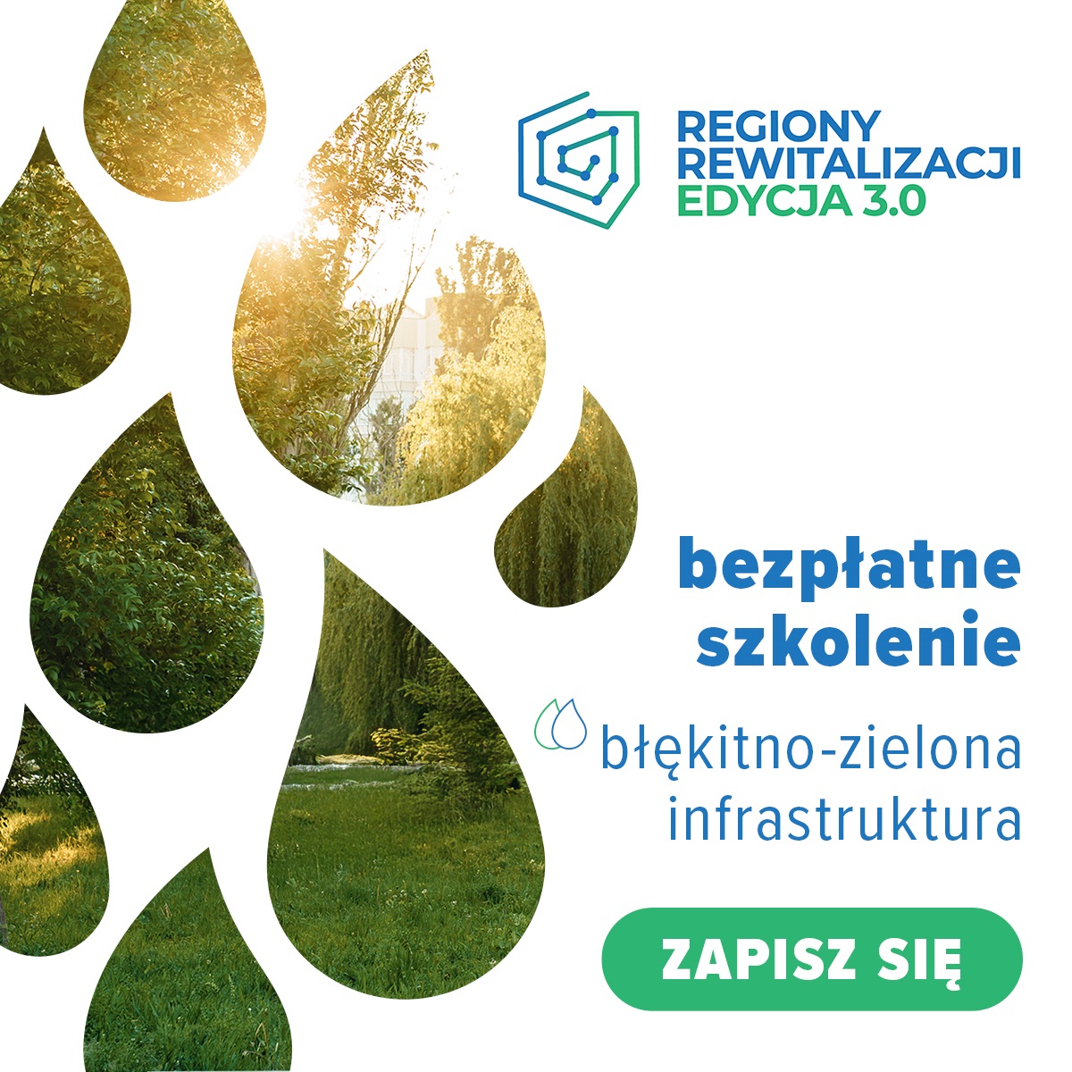 Szkolenia z tematyki b��kitno - zielonej infrastruktury